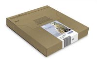 Polar Bear Multipack - Bilde 9