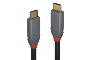 Lindy 0.5M Usb 3.2 Type C Cable, 5A