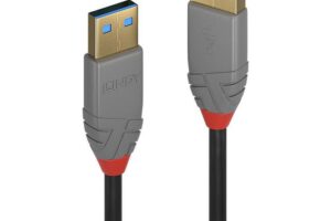 Lindy 0.5M Usb 3.2 Type A Extension