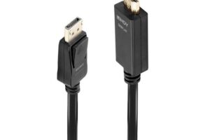 Lindy 2m DisplayPort to HDMI 10.2G