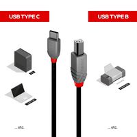 Lindy 2M Usb 2.0 Type C To B Cable, - Bilde 8