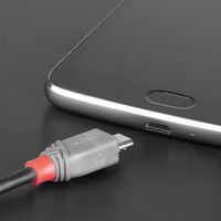 Lindy 3M Usb 2.0 Type C To Micro-B - Bilde 9