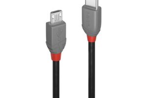 Lindy 2M Usb 2.0 Type C To Micro-B