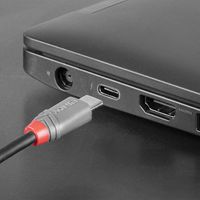 Lindy 2M Usb 2.0 Type C To Micro-B - Bilde 11