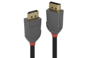 Lindy 10M Displayport 1.2 Cable,