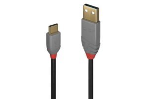 Lindy 1M Usb 2.0 Type A To C Cable,