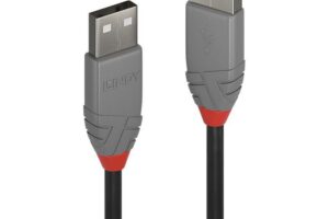 Lindy 0,2M Usb 2.0 Type A Extension
