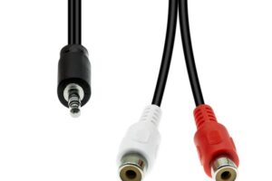 ProXtend 3-Pin to 2 x RCA Cable M-F