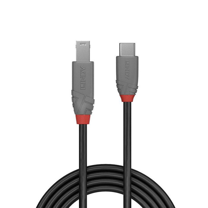 Lindy 3m USB 3.2 Type C to B Cable, - Bilde 2