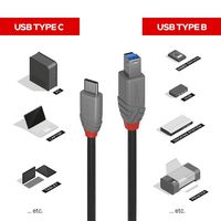 Lindy 3m USB 3.2 Type C to B Cable, - Bilde 10