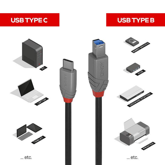 Lindy 3m USB 3.2 Type C to B Cable, - Bilde 5