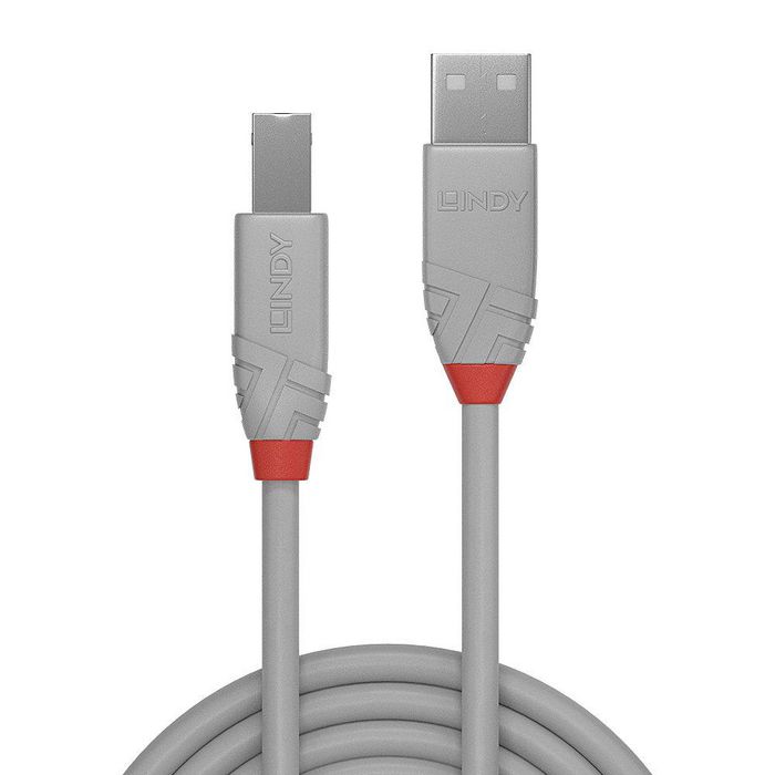 Lindy 2m USB 2.0 Type A to B Cable, - Bilde 2