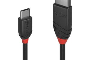 Lindy 0.15m USB 3.2 Type A to C