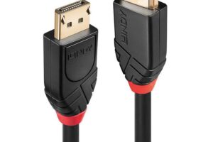 Lindy 10m Active DisplayPort 1.2