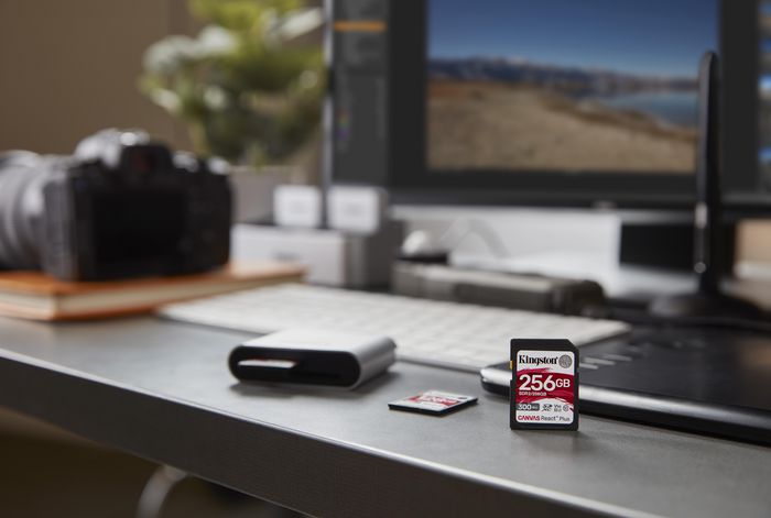 Kingston Canvas React Plus 256 Gb Sd - Bilde 7