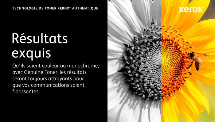 05 / B310 / B315 Black Extra - Bilde 25