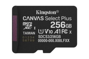 Kingston 256Gb Micsdxc Canvas Select