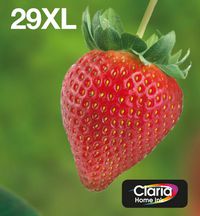 EPSON Multipack 4-colours 29XL EasyMail - Bilde 5
