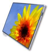 Dell LCD 14.1 WXGA