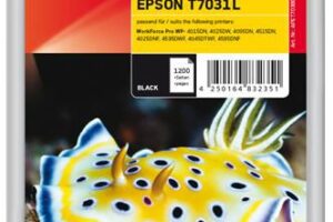 Ink Black T7031 L