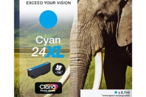 EPSON ink Singlepack Cyan 24XL