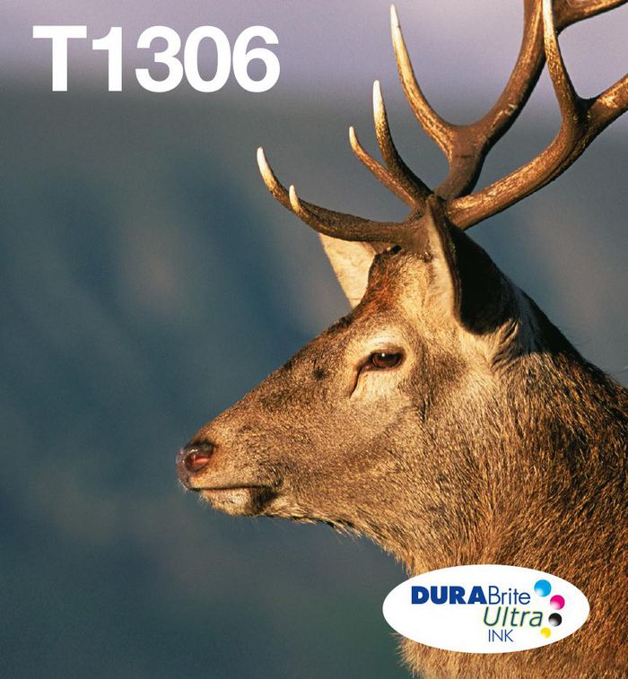 T1306, multipack 3-Colours