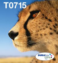 EPSON EasyMail MP Cheetah-DURABrite - Bilde 6