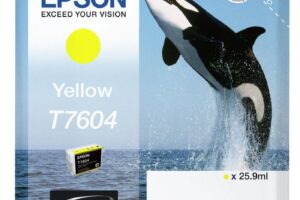 T7604, Yellow