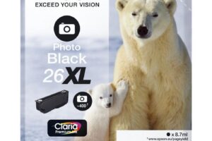 26XL ink cartr photo