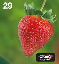 Multipack 4-colours 29 EasyMai - Bilde 6