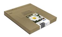 Ink/T1806 EasyMail Daisy CMYK - Bilde 9