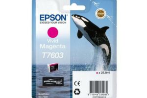 EPSON T7603 ink cartridge vivid magenta