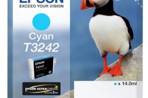 HI-GLOSS2 T3242 PUFFIN