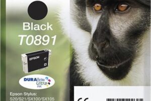 EPSON ink T089 black blister