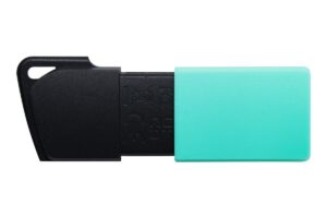 KINGSTON 256GB DataTraveler Exodia M