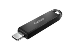 Sandisk SDCZ460-256G-G46 USB flash