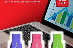 Sandisk Cruzer Blade 3X 32Gb Usb