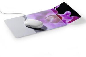 Durable 5747-19 Transparent