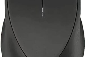 HP Wireless Premium Mouse