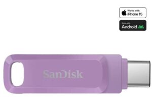 Sandisk Ultra Dual Drive Go Usb Flash