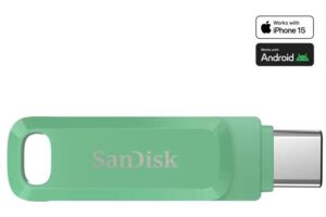 Sandisk Ultra Dual Drive Go Usb Flash
