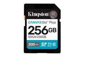 Kingston Canvas Go! Plus 256Gb Sdxc
