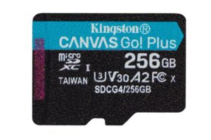 Kingston 256Gb Microsdxc Canvas Go