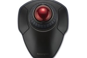 Kensington Orbit with Scroll Ring