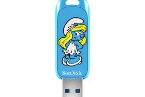 Sandisk Usb Flash Drive 256 Gb Usb