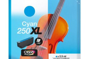 EPSON Singlepack Cyan 250XL ink