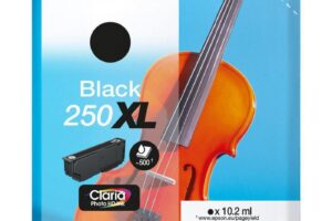 EPSON Singlepack Black 250XL ink