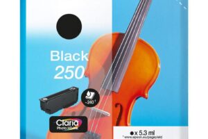 EPSON Singlepack Black 250 ink
