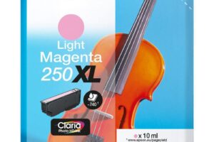 EPSON Singlepack Light Magenta 250XL ink