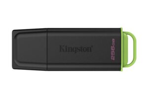 Kingston Datatraveler 256Gb Portable